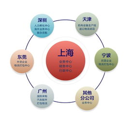 玻璃深加工設備進口報關代理與互聯(lián)網信息服務的融合發(fā)展