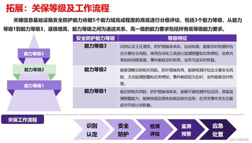 信息系統網絡安全方案 三保一評與專用軟件開發策略